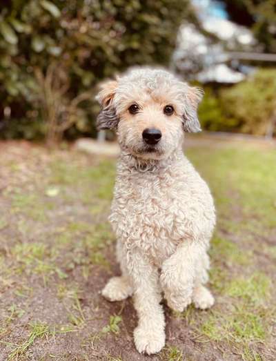 Lieblingsbild-Beitrag-Bild