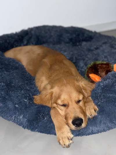 FOTO-Challenge  NR. 91: Die pure Entspannung-Beitrag-Bild