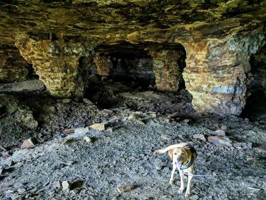 70. Handy-Fotochallenge: Zeitreisen-Beitrag-Bild