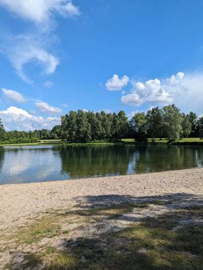 Hundeauslaufgebiet-Hundestrand Kronensee-Bild