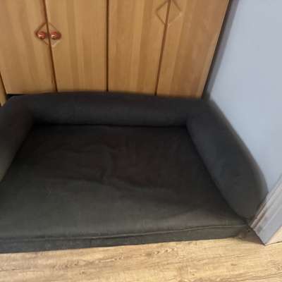 Hund beißt und geht einen richtig an !-Beitrag-Bild