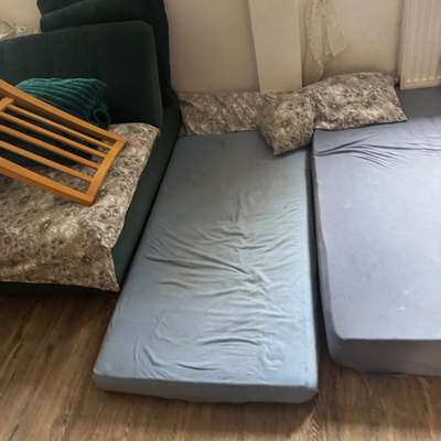 Hund beißt und geht einen richtig an !-Beitrag-Bild