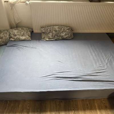 Hund beißt und geht einen richtig an !-Beitrag-Bild