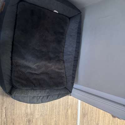 Hund beißt und geht einen richtig an !-Beitrag-Bild