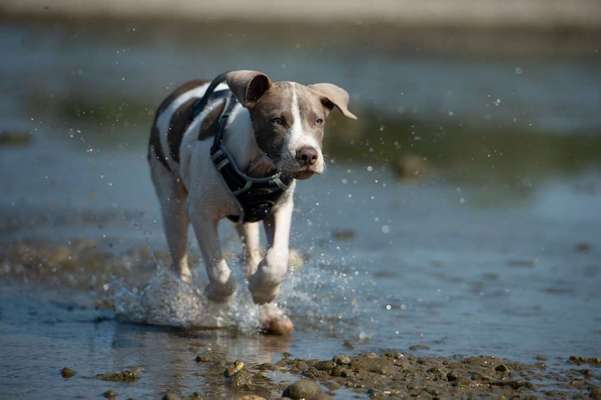 Foto Challenge - BEENDET - bitte aktuelle Challenge nutzen-Beitrag-Bild