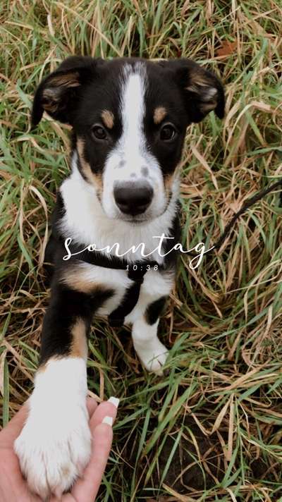 Lieblingsbild-Beitrag-Bild