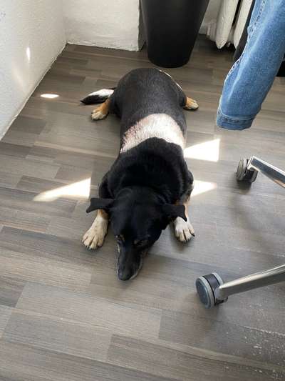 Zeigt her...-Beitrag-Bild