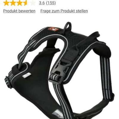 Geschirr mit Frontclip-Beitrag-Bild