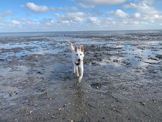 Lieblingsbild-Beitrag-Bild