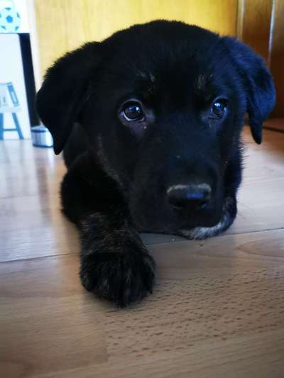 Sie werden so schnell erwachsen ...-Beitrag-Bild