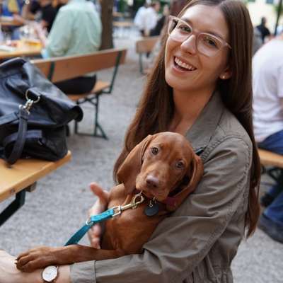 Hundetreffen-Training zusammen-Profilbild