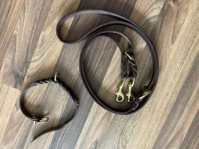 Lederhalsband mit Leine-Beitrag-Bild