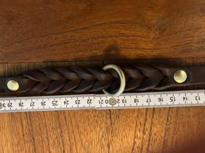 Lederhalsband mit Leine-Beitrag-Bild