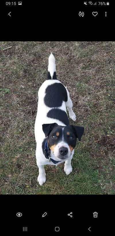 Vorher.... Nachher-Beitrag-Bild