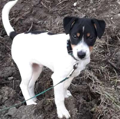 Vorher.... Nachher-Beitrag-Bild