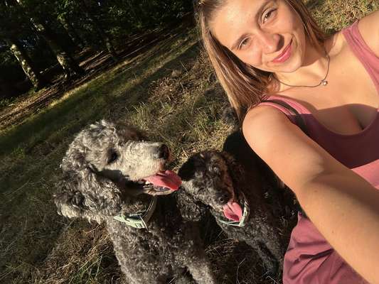 Hundetreffen-Gemeinsame Ründchen-Bild