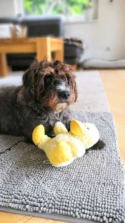 Lieblingsbild-Beitrag-Bild