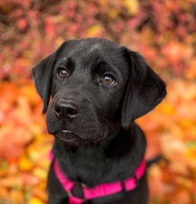 Fotochallange Nr. 57     PORTRÄT.   Beendet!!!!!!!!-Beitrag-Bild