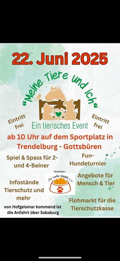 Hundetreffen-Meine Tiere und ich-Bild
