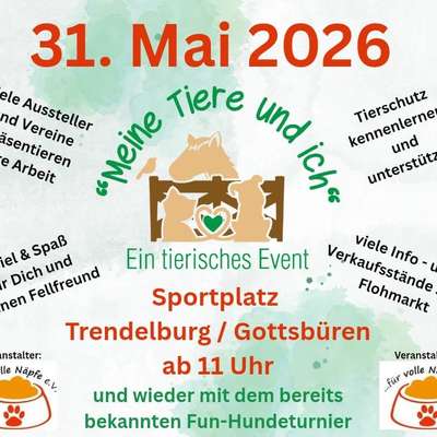 Hundetreffen-Meine Tiere & ich-Bild