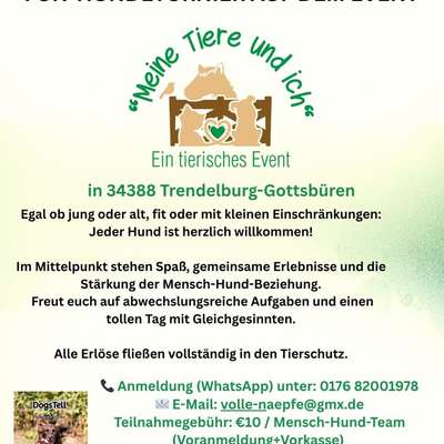 Hundetreffen-Fun Hundeturnier-Bild