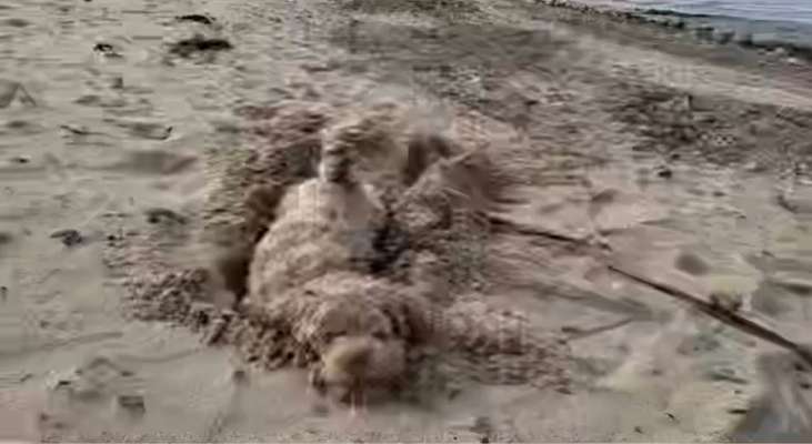 Ton in Ton-Beitrag-Bild