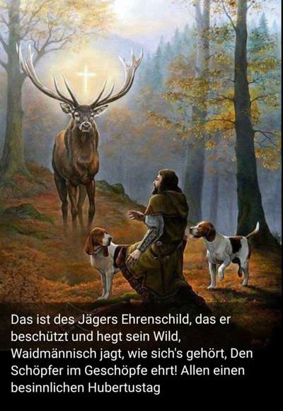 Jagdhundeausbildung an lebenden Enten – notwendig oder unethisch? 🐾-Beitrag-Bild