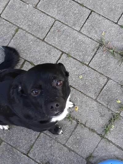 Lieblingsbild :D-Beitrag-Bild