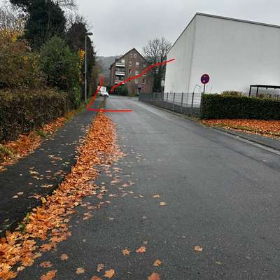 Giftköder-Wahrscheinlich Giftköder-Bild