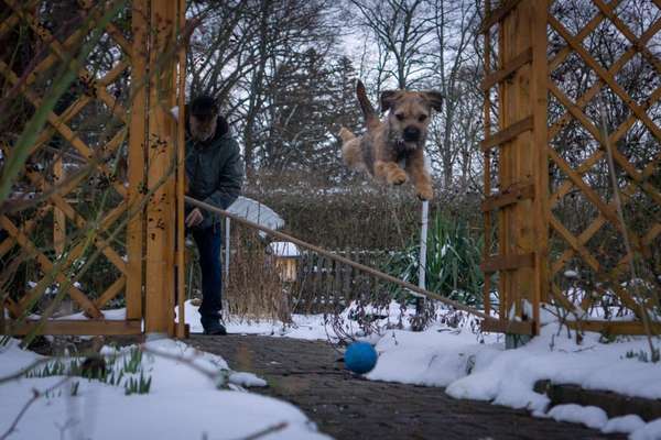 Dogorama Photo Challenge - Rund-Beitrag-Bild