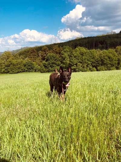 Foto-Challenge Nr. 90: Lebensfreude-Beitrag-Bild