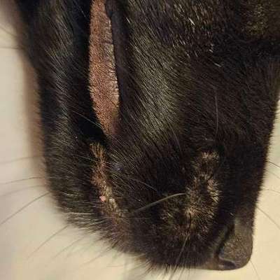 2te Meinung / Rat gesucht-Beitrag-Bild