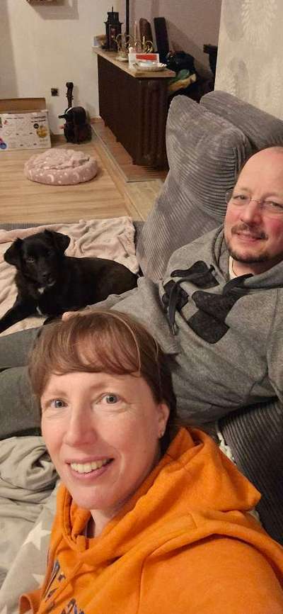 TierschutzhundeStammtisch🐕-Beitrag-Bild