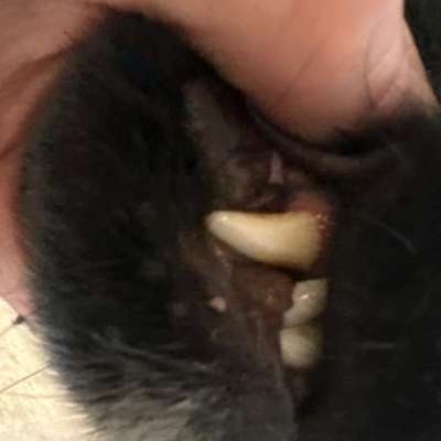 2te Meinung / Rat gesucht-Beitrag-Bild