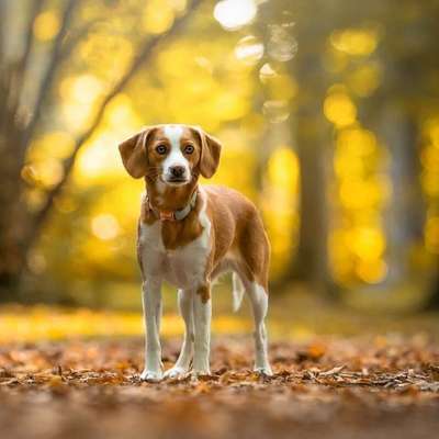 Fotochallenge Nr. 67: Euer Lieblingsbild-Beitrag-Bild