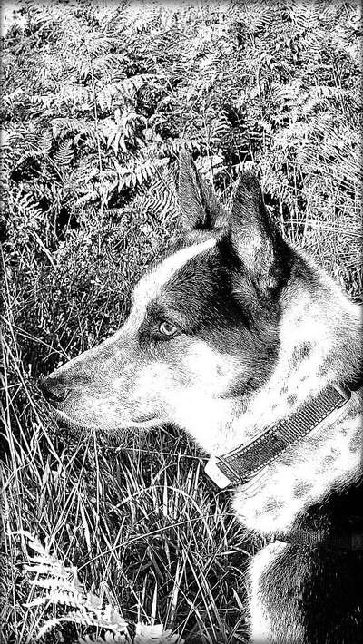 Photoshop und Co.-Beitrag-Bild