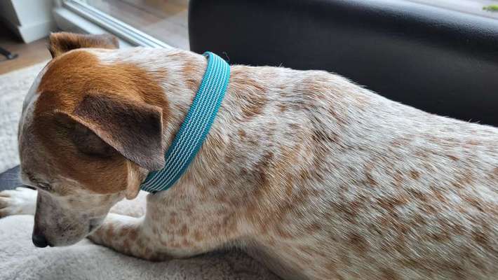 Zeckenmittel mit Baby/Kleinkind im Haushalt-Beitrag-Bild