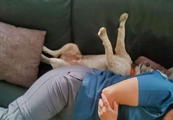 Foto-Challange: Schmuse-/Kuschel-/Ruhemodus-Beitrag-Bild