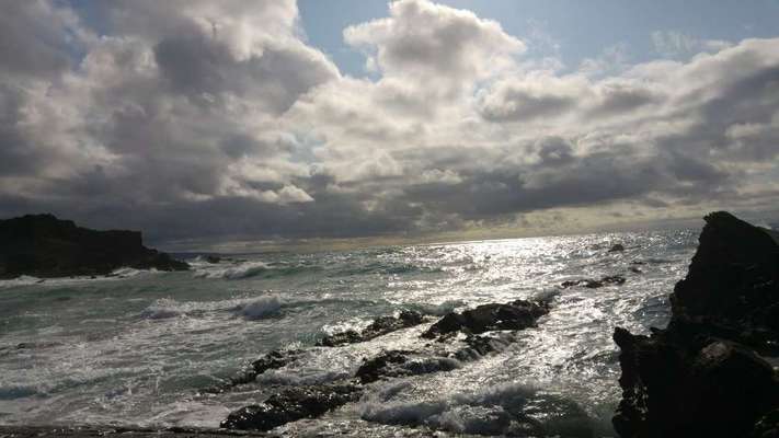 Urlaub in Großbritannien mit Senior-Hund-Beitrag-Bild