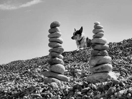 Foto-Challenge 76: Foto in Schwarz-Weiss-Beitrag-Bild