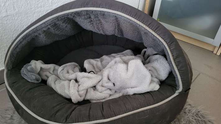 Temperaturen zu Hause-Beitrag-Bild