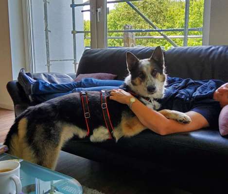 Adoptieren statt Produzieren fast unmöglich-Beitrag-Bild