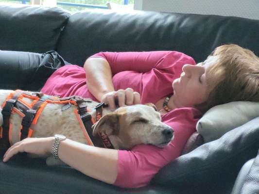 Adoptieren statt Produzieren fast unmöglich-Beitrag-Bild