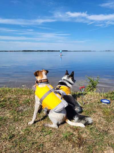 45. Collage Challenge - Lieblingsurlaubs/ Ausflugsziele-Beitrag-Bild