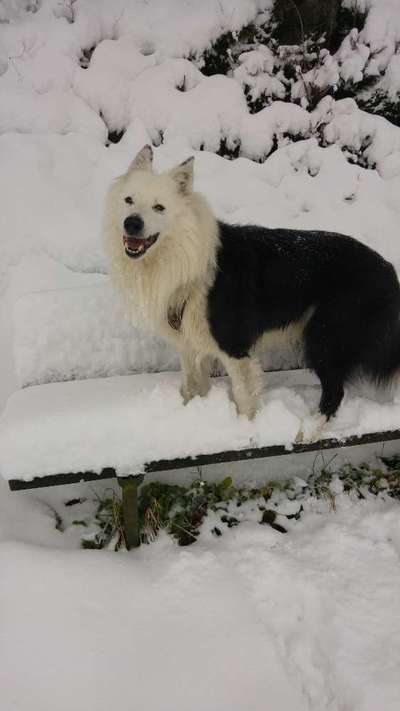 Ist das ein...?-Beitrag-Bild