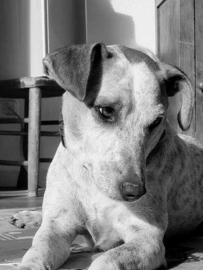 Foto-Challenge 76: Foto in Schwarz-Weiss-Beitrag-Bild