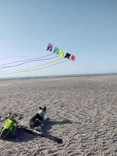 Theos Fotochallange Nummer 4-Beitrag-Bild