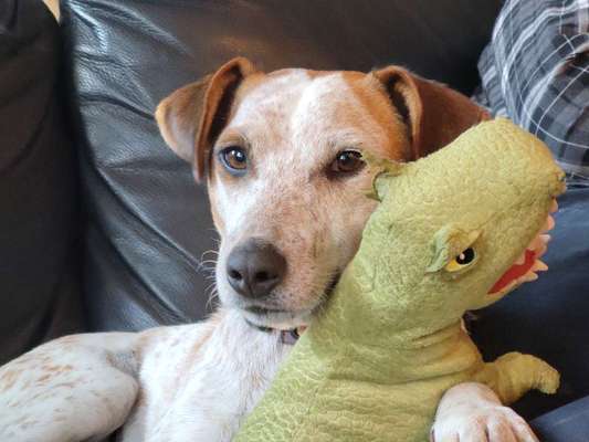 Lieblingsbild-Beitrag-Bild