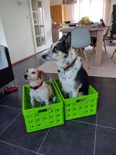 Lustige Grimassen & verrückte Posen-Beitrag-Bild