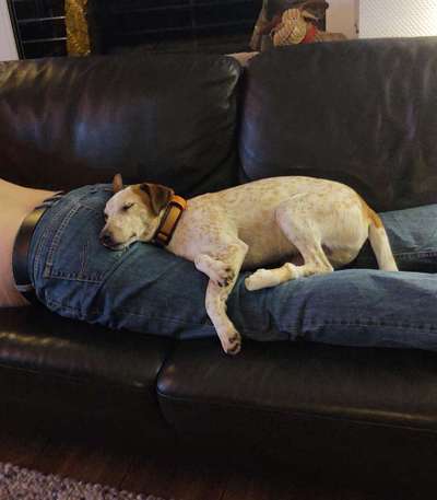 Foto Challange Nr.80-Beitrag-Bild